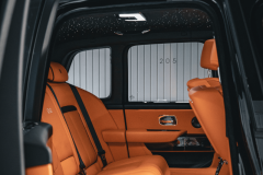 Security agent for business